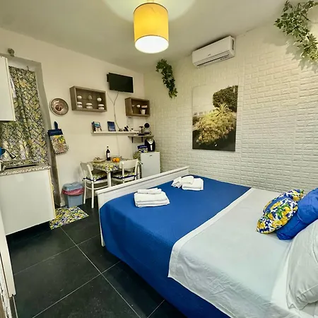 Casa Andre Apartment Syracuse